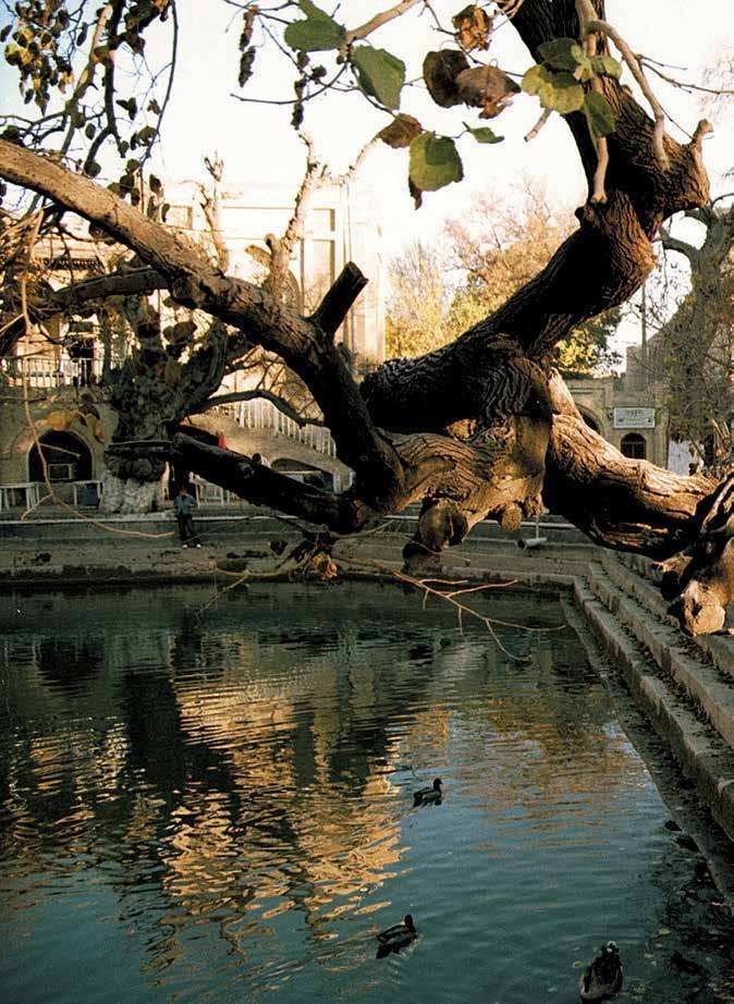 Lyab-i Hauz: The Pool That Has Been the City's Living Room for Four Centuries