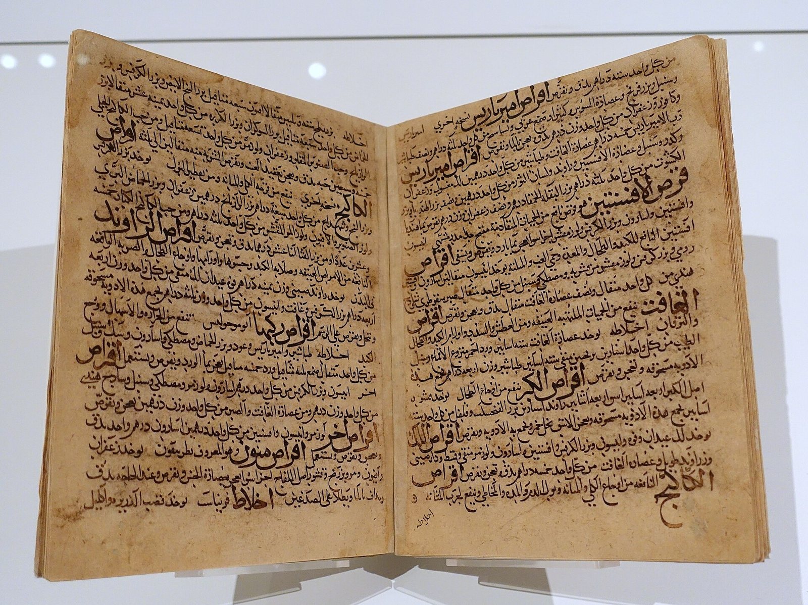 Avicenna: The Doctor from Near Bukhara Who Taught Europe Medicine